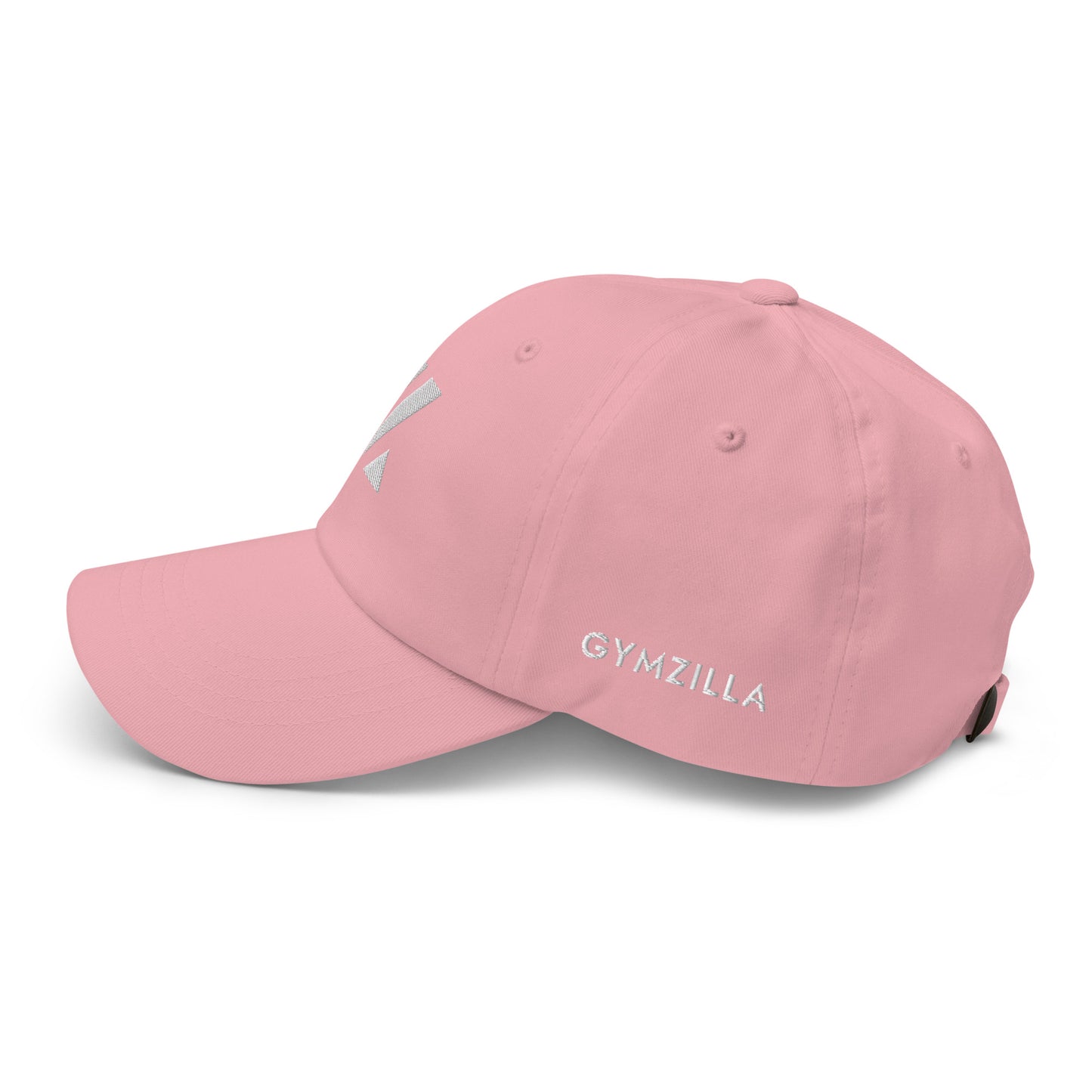 DAD HAT IRONFANG • PINK